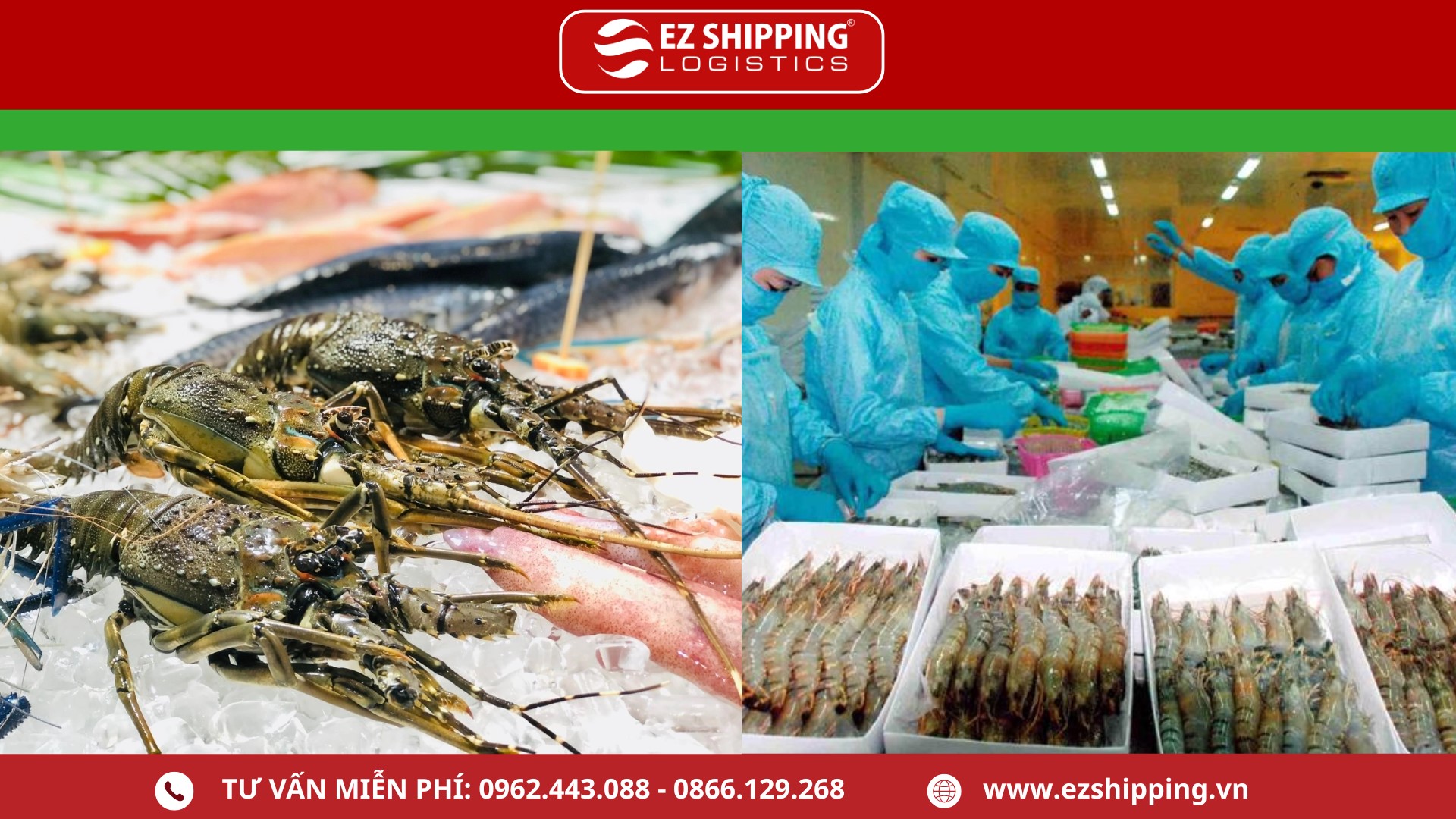 dich_vu_xuat_khau_tom_moi_nhat