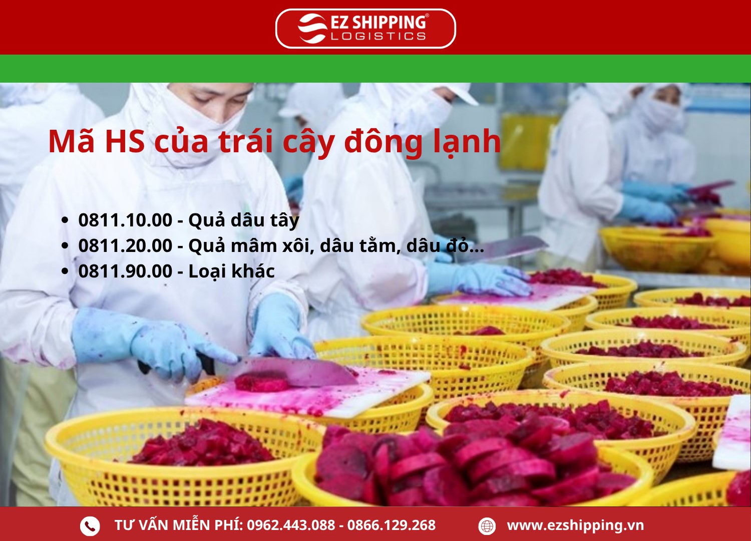 ma_HS_code_trai_cay_dong_lanh