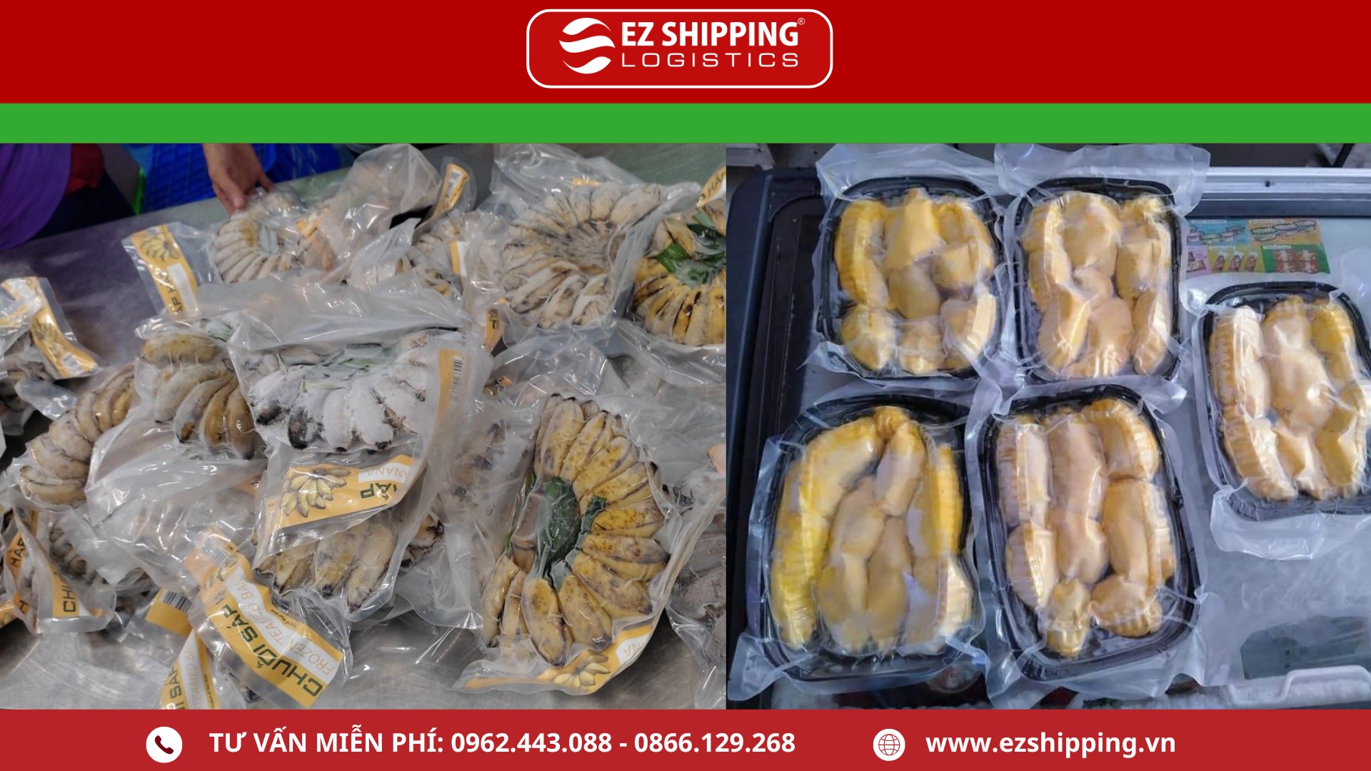 thu_tuc_xuat_khau_trai_cay_dong_lanh_moi_nhat_1