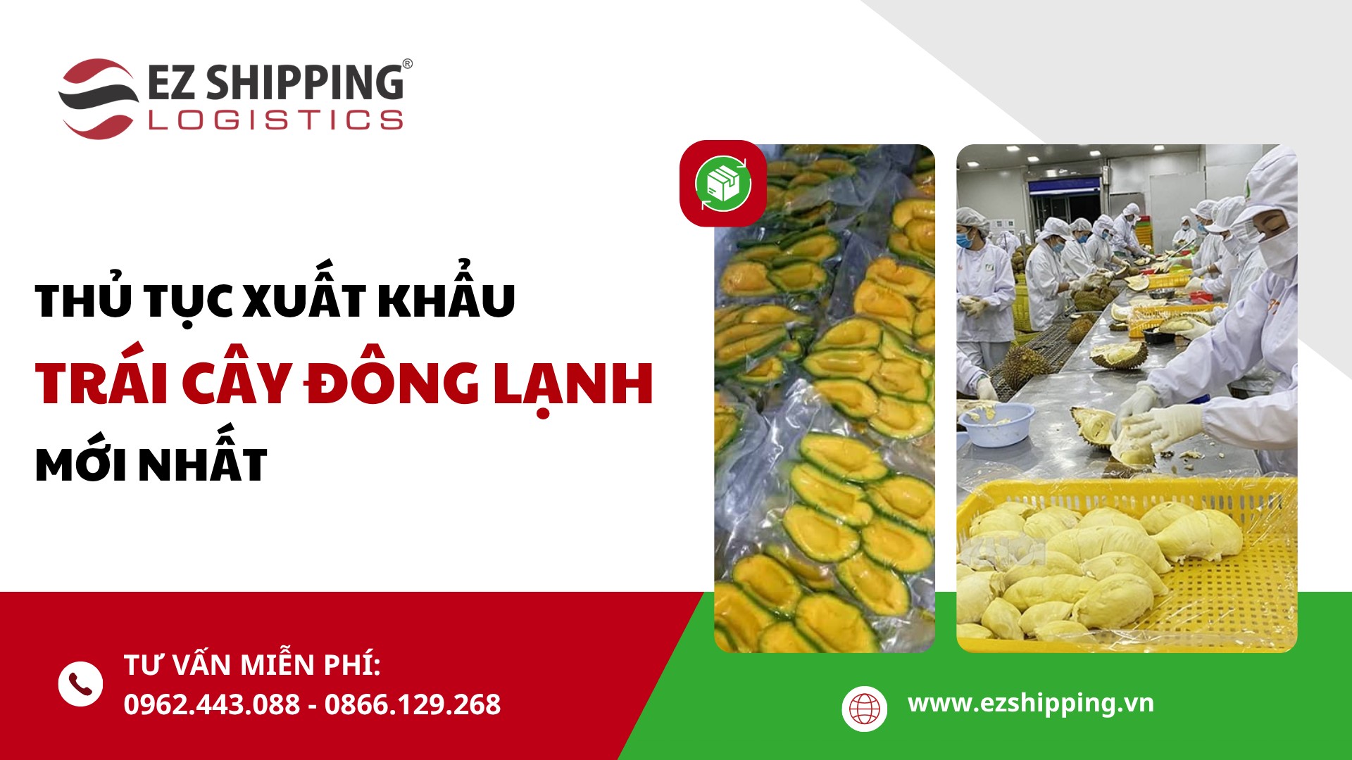 thu_tuc_xuat_khau_trai_cay_dong_lanh_moi_nhat