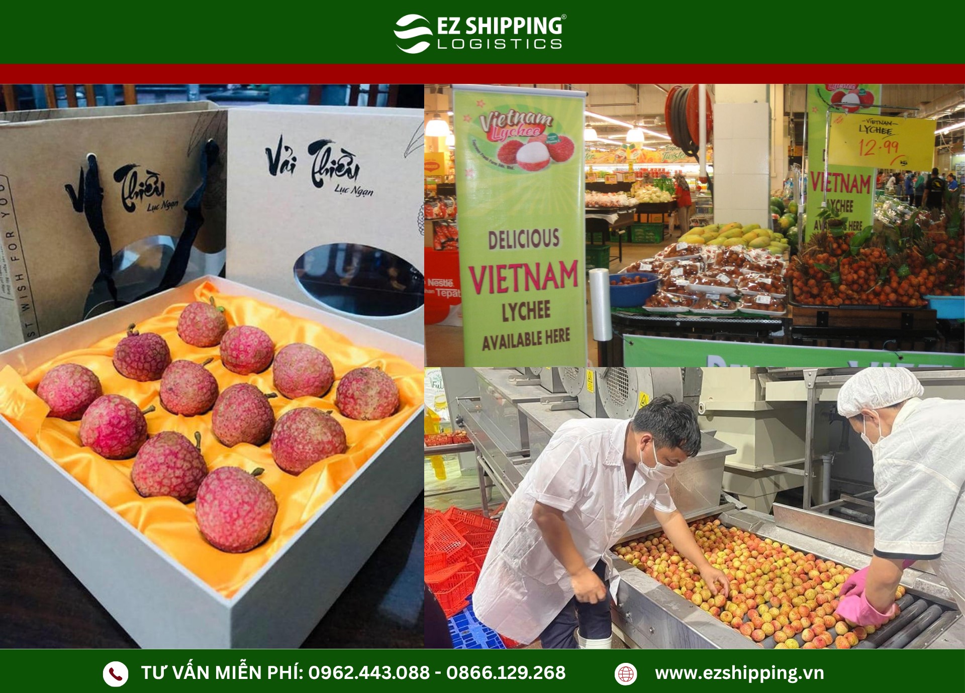 quy_trinh_xuat_khau_vai_moi_nhat