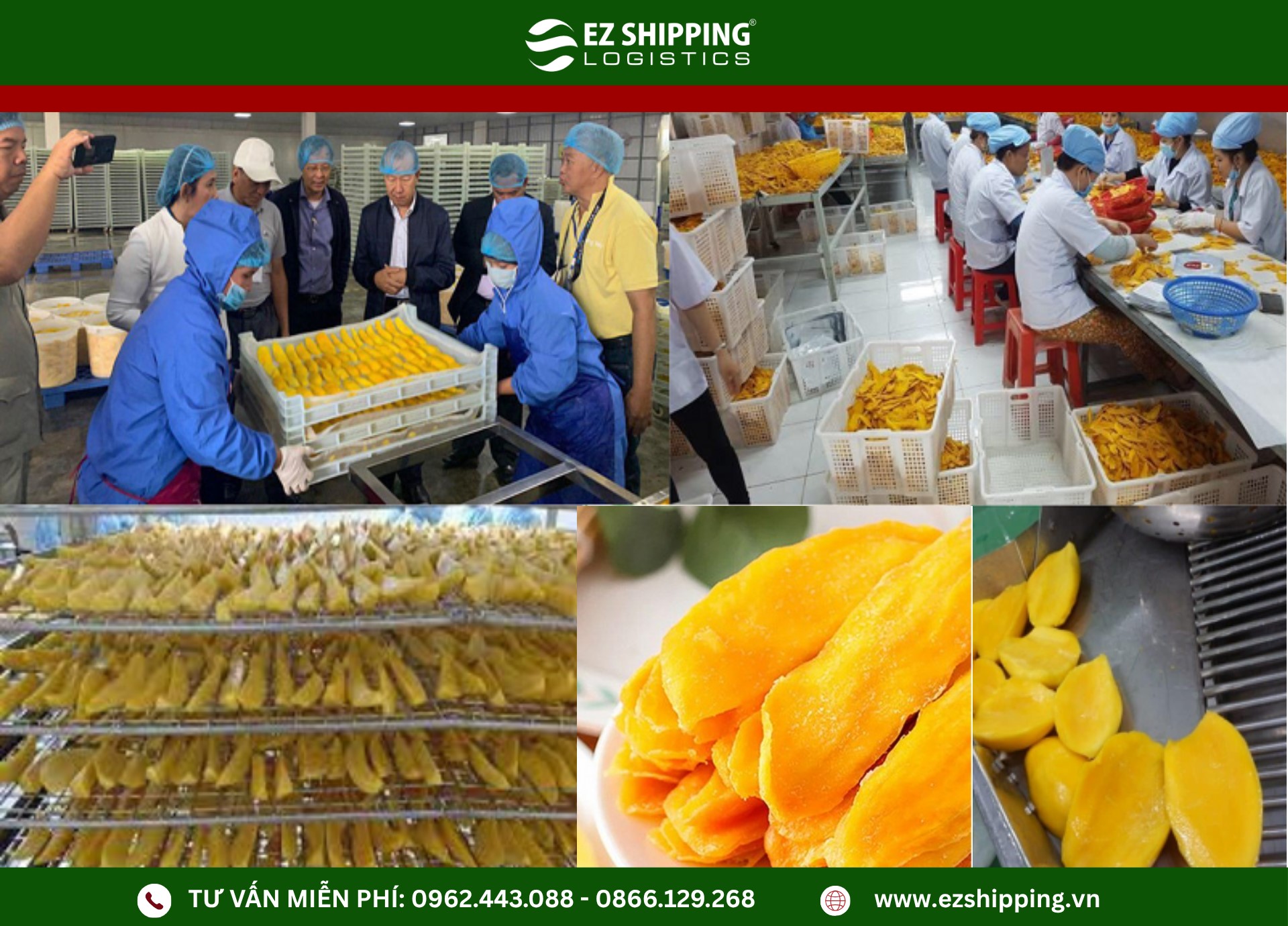 quy-trinh_xuat_khau_xoai_say_deo